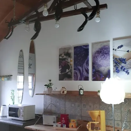 Lovely House In * Biscoitos (Terceira)